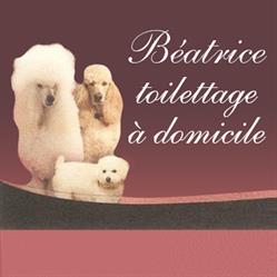 Béatrice Toilettage à Domicile, Bernesq - Horaires d'ouverture