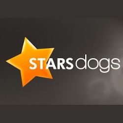 Stars Dogs, Saint-Lyphard - Horaires d'ouverture