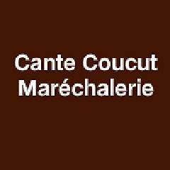 Cante Coucut Maréchalerie, Saint-Pandelon - Horaires d'ouverture
