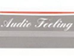 Audio Feeling, Nice - Horaires d'ouverture