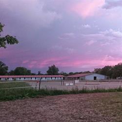 Haras Des Vitarelles, Plaisance-du-Touch - Horaires d'ouverture