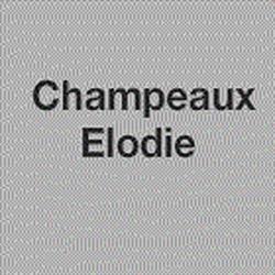 Champeaux Élodie marechal ferrant 27 eure, Saint-Aubin-des-Hayes - Horaires d'ouverture