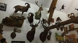 Lanaud Petot Virginie, Flammerans - Horaires d'ouverture