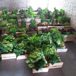 Au Fleuripotager, Blamont - Horaires d'ouverture