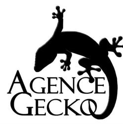 Agence Gecko, Lauzerville - Horaires d'ouverture