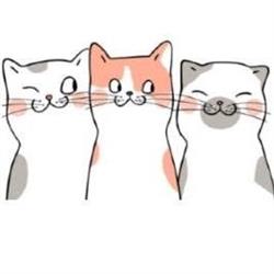 Ô 3 P'TITS CHATS, Clamart - Horaires d'ouverture