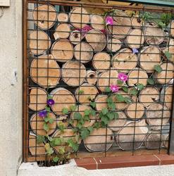 Epicerie chez Domy, Taurinya - Horaires d'ouverture