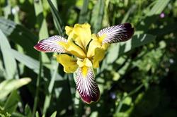 Le Jardin du Naturaliste, Talmontiers - Horaires d'ouverture
