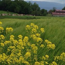 GAEC Savoie Gascogne, Marin - Horaires d'ouverture