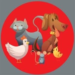 Animalerie DOG AND CO, Lacanau - Horaires d'ouverture