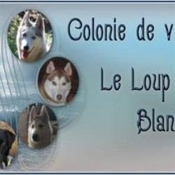 Le Loup Blanc, La Teste-de-Buch - Horaires d'ouverture