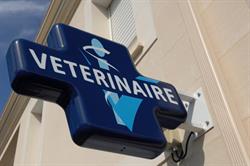 Cabinet Vétérinaire Prieure Carre, Montussan - Horaires d'ouverture