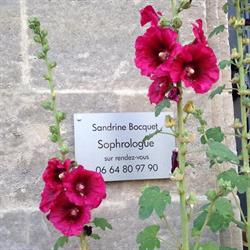 Sophrologue, Sandrine Bocquet, Bordeaux - Horaires d'ouverture