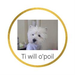 Ti will o'poil, Carentoir - Horaires d'ouverture
