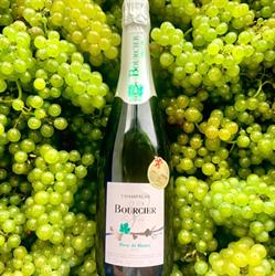 Champagne Bourcier & Fils, Couvrot - Horaires d'ouverture