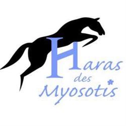 Haras Des Myosotis, Foucrainville - Horaires d'ouverture