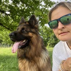Pension Canine de Pignols, Moissac - Horaires d'ouverture