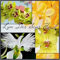 L'un Des Sens Floral, Étuz - Horaires d'ouverture