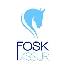 FoskAssur, Parthenay - Horaires d'ouverture