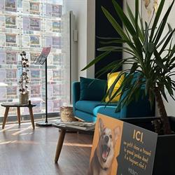 Issoudun Immobilier, - Horaires d'ouverture