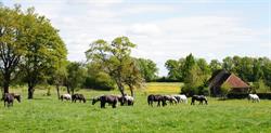 Elevage d'Egée - chevaux percherons, Saint-Fulgent-des-Ormes - Horaires d'ouverture