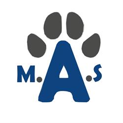 Mon Animal Santé, Quimperlé - Horaires d'ouverture