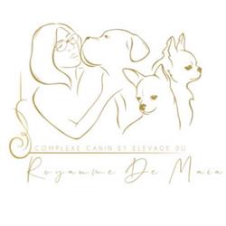 Complexe canin et élevage du royaume de Maia - Eleveur de Chihuahua LOF poil long et poil court, Léchelle - Horaires d'ouverture
