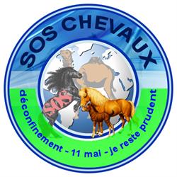 SOS chevaux, Calais - Horaires d'ouverture
