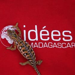 idees madagascar, Ivry-sur-Seine - Horaires d'ouverture