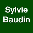 Baudin Sylvie, Strasbourg - Horaires d'ouverture