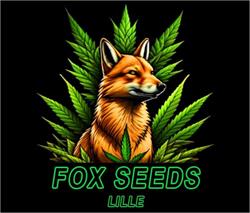 FOXSEEDS LILLE CBD & SEEDS SHOP, Lille - Horaires d'ouverture