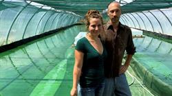 Ôde des Pyrénées, producteur de spiruline, Castelbiague - Horaires d'ouverture