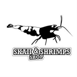 Skaii and Shrimps, Beinheim - Horaires d'ouverture