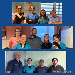 SEP CLINIQUE VETERINAIRE DES TOURBIERES, Frasne - Horaires d'ouverture