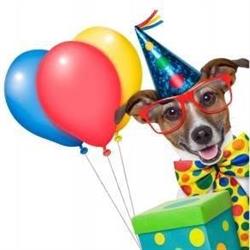 ANNIPARTY anniversaire enfant, Le Beausset - Horaires d'ouverture