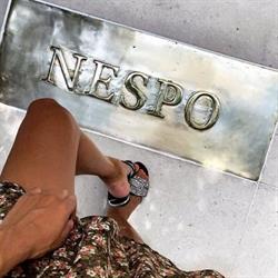 NESPO Restaurant, Nice - Horaires d'ouverture