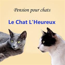 Le Chat l'Heureux, Charlieu - Horaires d'ouverture
