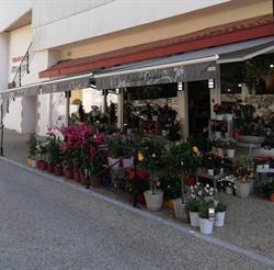 RUSTICAFLOR Fleuriste Interflora, Cambo-les-Bains - Horaires d'ouverture