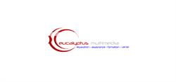 EUCALYPTUS MULTIMEDIA, Hombourg-Haut - Horaires d'ouverture