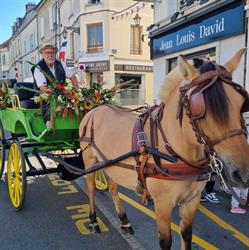 Au Rythme des Poneys, Villeneuve-sur-Bellot - Horaires d'ouverture