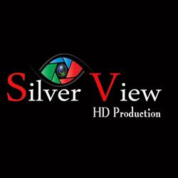 Silver View HD Production, La Queue-en-Brie - Horaires d'ouverture