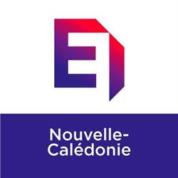 MEDEF-NC, Nouméa - Horaires d'ouverture
