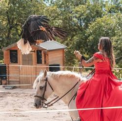 Les Aigles Du Verdon, Gréoux-les-Bains - Horaires d'ouverture