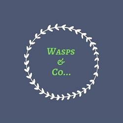 Wasps And Co, Saint-Amand-les-Eaux - Horaires d'ouverture