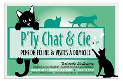P'Ty Chat et Cie, Saint-Bihy - Horaires d'ouverture