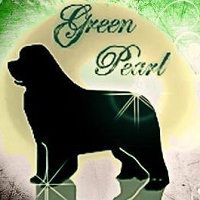 Domaine Green Pearl, Saint-Thurin - Horaires d'ouverture
