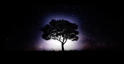 L'ARBRE PRODUCTIONS, Paris - Horaires d'ouverture