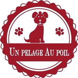 Salon de toilettage - Un Pelage Au Poil, La Rochelle - Horaires d'ouverture