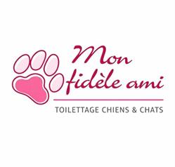 Mon Fidèle Ami, Saint-Martin-des-Champs - Horaires d'ouverture