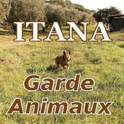 ITANA garde animaux, Roquebrune-sur-Argens - Horaires d'ouverture